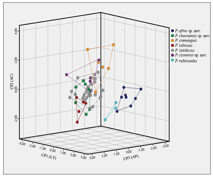 An&aacute;lisis de componentes principales (PCA) de medidas morfom&eacute;tricas de 3 especies nuevas de Pristimantis (P. afrox sp. nov., P. chocoensis sp. nov., P. cisnerosi sp. nov.) y especies morfol&oacute;gicamente similares (P. labiosus, P. crenunguis, P. latidiscus, P. rubicundus).