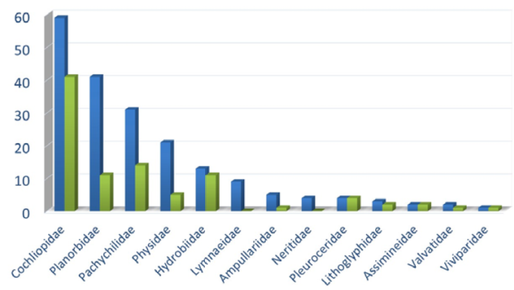 The number of critically imperiled, imperiled and vulnerable species (green) relative to the total number of species (blue) of freshwater gastropod families in Mexico.