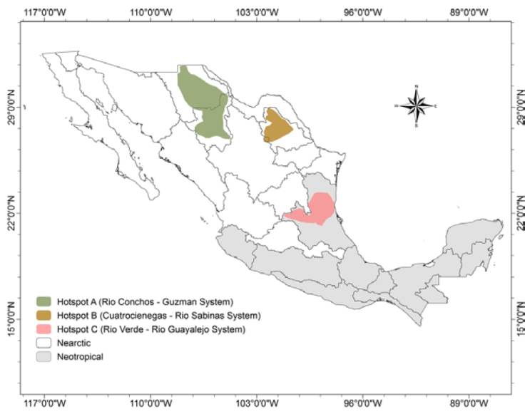 Freshwater ecoregions with hotspots of Mexican freshwater gastropod endemicity.