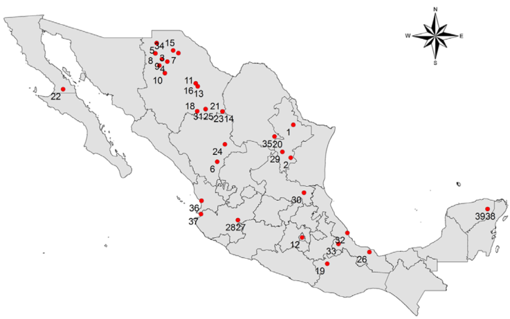 Mexican freshwater gastropods single site endemics. 1. Viviparus inornatus (Viviparidae), 2. Valvata beltrami (Valvatidae), 3. Tryonia zaragozae (Cochliopidae), 4. Tryonia taylori (Cochliopidae), 5. Tryonia shikueii (Cochliopidae), 6. Tryonia seemani (Cochliopidae), 7. Tryonia santarosae (Cochliopidae), 8. Tryonia peregrina (Cochliopidae), 9. Tryonia ovata (Cochliopidae), 10. Tryonia molinae (Cochliopidae), 11. Tryonia minckleyi (Cochliopidae), 12. Tryonia mariae (Cochliopidae), 13. Tryonia julimesensis (Cochliopidae), 14. Tryonia hertleini (Cochliopidae), 15. Tryonia contrerasi (Cochliopidae), 16. Tryonia chuviscarae (Cochliopidae), 17. Tryonia angosturae (Cochliopidae), 18. Tryonia allendae (Cochliopidae), 19. Tepalcatia polia (Cochliopidae), 20. Pyrgulopsis patzcuarensis (Hydrobiidae), 21. Pyrgulopsis palomasensis (Hydrobiidae), 22. Pyrgulopsis cedrosensis (Hydrobiidae), 23. Pyrgulopsis brandi (Hydrobiidae), 24. Pseudotryonia pasajae (Cochliopidae), 25. Pseudotryonia mica (Cochliopidae), 26. Pomacea catemacensis (Ampullariidae), 27. Planorbella contrerasi (Planorbidae), 28. Physella solidissima (Physidae), 29. Physella patzcuarensis (Physidae), 30. Pachychilus apheles (Pachychilidae), 31. Minckleyella balnearis (Cochliopidae), 32. Mayabina bullula (Physidae), 33. Laevapex sallei (Planorbidae), 34. Eremopyrgus elegans (Cochliopidae), 35. Chorrobius crassilabrum (Cochliopidae), 36. Austrinauta elatus (Physidae), 37. Amecanauta jaliscoensis (Physidae), 38. Mexicenotica xochii (Cochliopidae), 39. Pyrgophorus cenoticus (Cochliopidae).