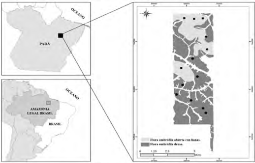 Ubicación de las parcelas permanentes para 2 fitofisionomías en la (UPA10) de la Unidad de Manejo Forestal (UMF) Uberlándia, Portel, Pará, Brasil.