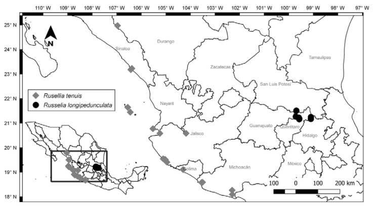Distribuci&oacute;n conocida de Russelia longipedunculata P&eacute;rez-Calix y de R. tenuis. Lundell.