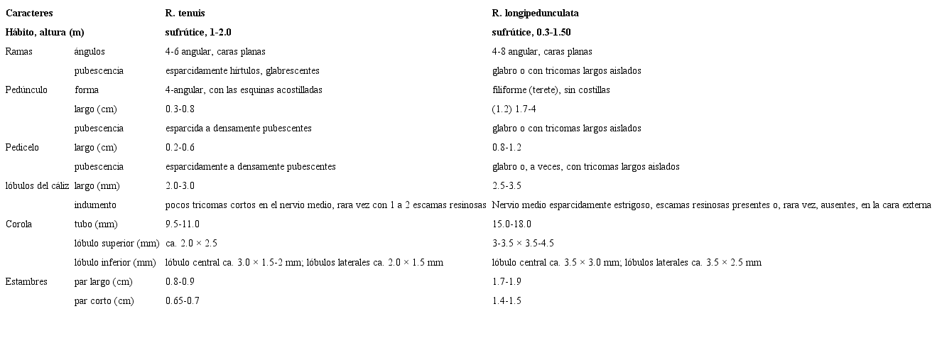 Comparaci&oacute;n de Russelia longipedunculata con R. tenuis.