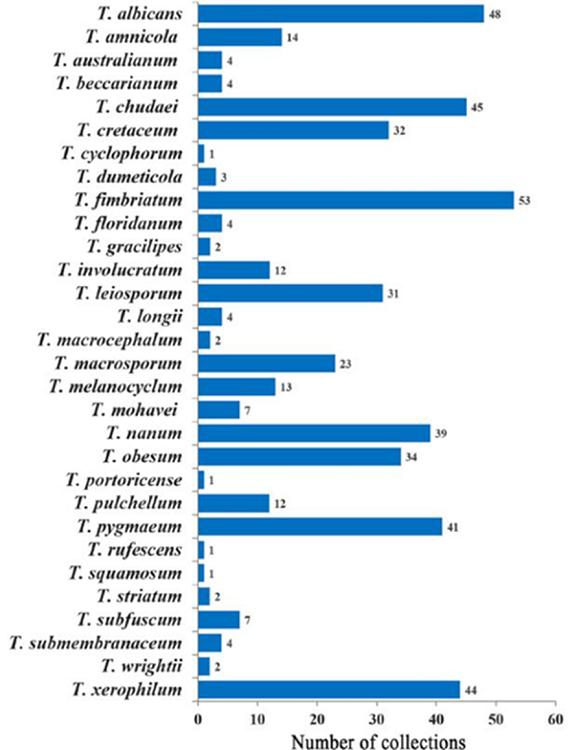 Number of collections of Tulostoma species.