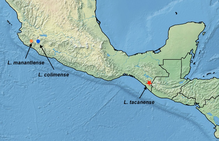 Map showing localities for the three new species described herein.