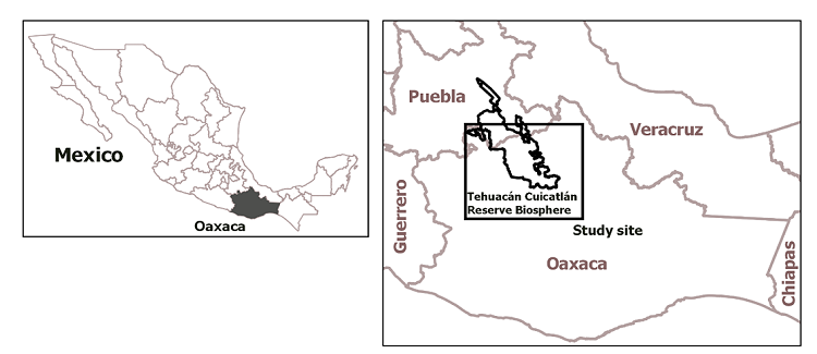 Location of the Tehuacán-Cuicatlán Biosphere Reserve.