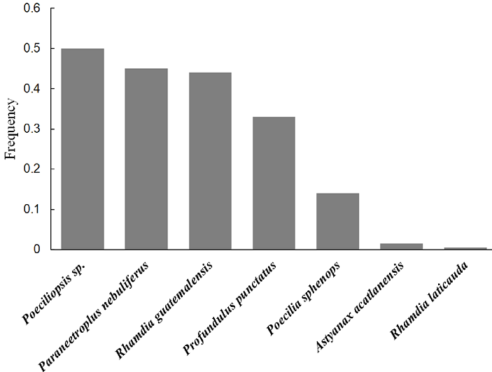 Frequency of hypural bones per neotropical otter scats found in the dry season southern Tehuacán-Cuicatlán Biosphere Reserve.