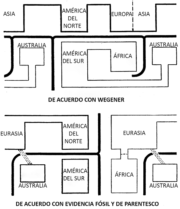 Relaciones entre las regiones zoogeográficas. a) Relación de los continentes de acuerdo con la teoría de Wegener (1920); b) conexiones y barreras entre los bloques continentales en el Eoceno diferentes a las que propuso Wegener.
