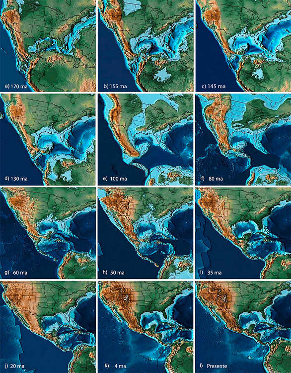 Configuración de tierras y mares durante la evolución de la Zona Transición Mexicana (a) Jurásico Medio, (b) Cretácico Temprano (Berriasiano), (c) Cretácico Temprano, (d) Cretácico Temprano (Hauteriviano), (e) Cretácico Tardío (Cenomaniano), (f) Cretácico Tardío (Coniaciano), (g) Paleoceno (Selandiano), (h) Eoceno, (i) Oligoceno, (j) Mioceno, (k) Plioceno, (l) Presente