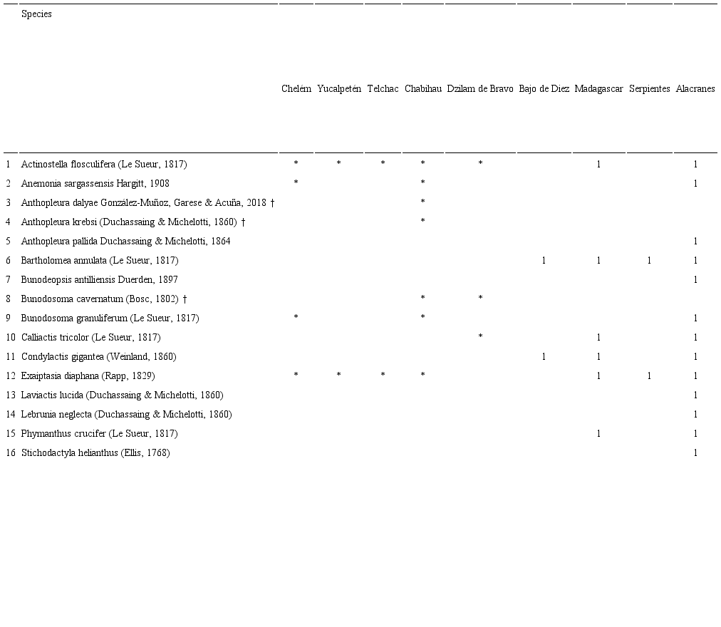 List of sea anemones species reported from the coast and coral reefs
							of Yucat&aacute;n. Citation: 1) Gonz&aacute;lez-Mu&ntilde;oz
								et al. (2013). The symbol &ldquo;*&rdquo; indicates a new record for the
							locality, and &ldquo;&dagger;&rdquo; indicates new records for Yucat&aacute;n. 