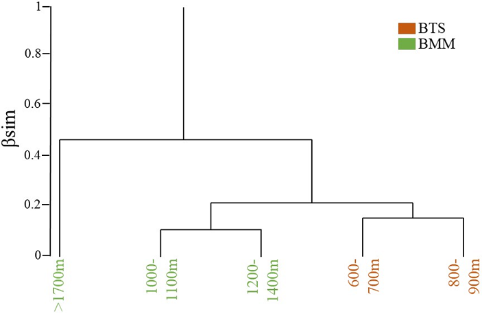 An&aacute;lisis de agrupamiento de la avifauna entre intervalos altitudinales abarcando los bosques tropicales h&uacute;meros y semih&uacute;medos de la sierra de Atoyac, Guerrero, M&eacute;xico. BTS: Bosque tropical subcaducifolio, BMM: bosque mes&oacute;filo de monta&ntilde;a.