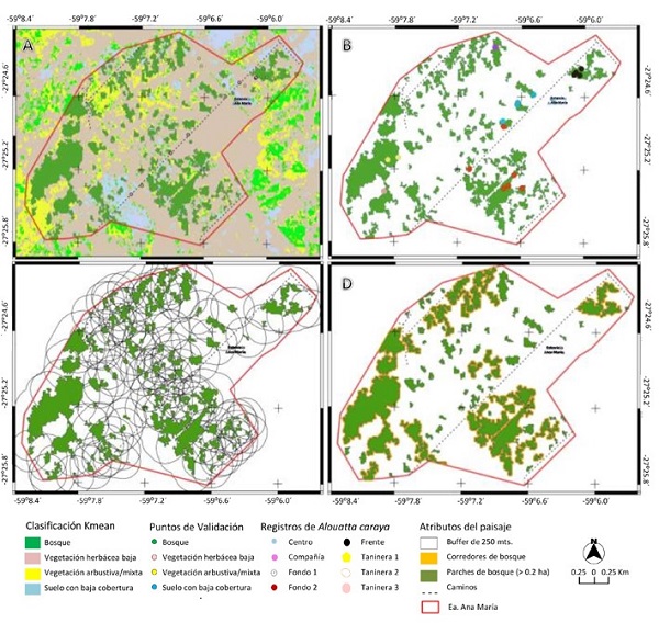 Mapas de atributos del paisaje. A: Clases de cobertura del suelo, puntos de validación y caminos internos; B: parches de bosque y registro de grupos de Alouatta caraya; C: áreas buffer (250 m) a los parches de bosque; D: corredores delimitados a partir de parches de bosques del área de estudio.
