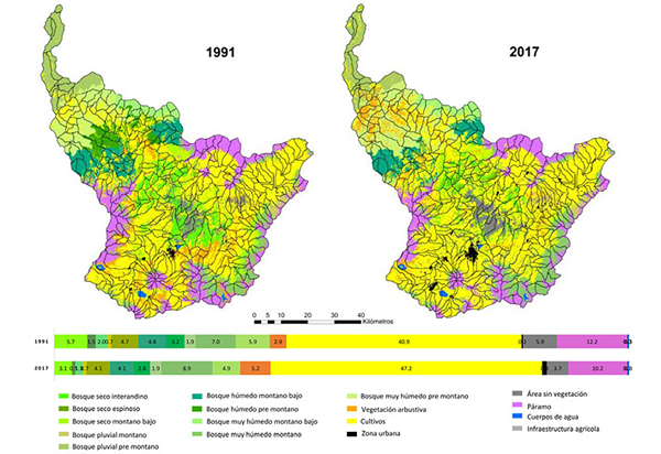 Variación espacio-temporal y porcentaje del área ocupada por los tipos de cobertura del suelo en la cuenca del río Mira en 1991 y 2017.