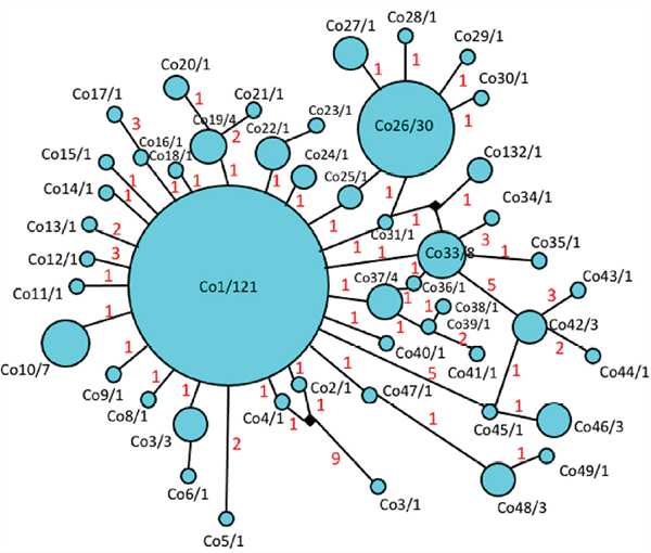 Haplotype network of Trichobaris compacta calculated from COI gene (663 bp) by the “median joining” algorithm. Black dots represent vectors, and red numbers represent the number of mutational changes.