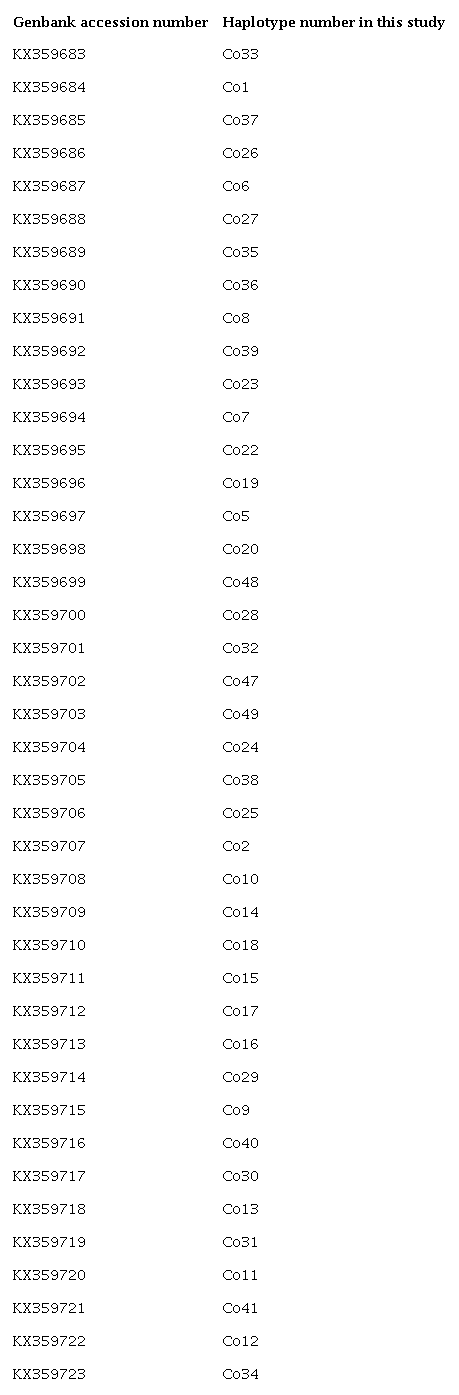 Genbank accession numbers of haplotypes of Trichobaris compacta.