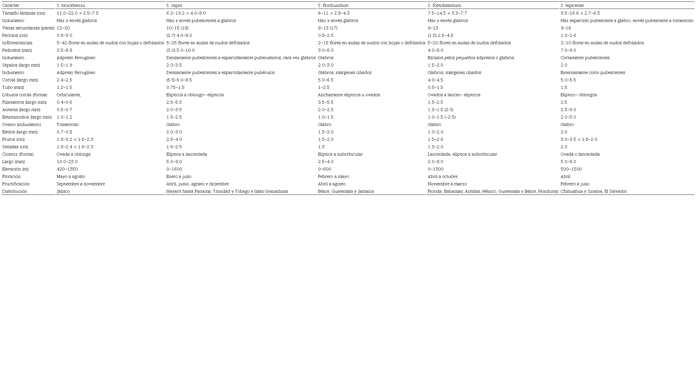 Comparativo de caracteres, fenología y distribución geográfica de Sideroxylon brucebenzii, S. capiri, S. floribundum, S. foetidissimum y S. tepicense. La información de las especies sigue a Pennington (1990), con excepción de S. brucebenzii (información con base en la que aquí se describe).