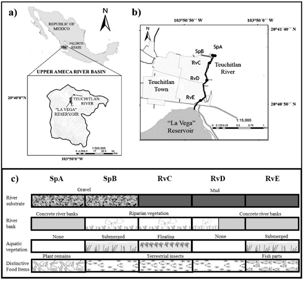 a) Geographic location of the Teuchitlán River; b) location of study sites in the lotic system; c) physical characterization and main prey in the study sites.