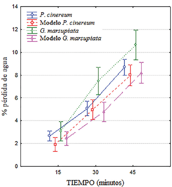 Comparación de los porcentajes de pérdida de agua entre individuos de Gastrotheca marsupiata y Pleurodema cinereum y sus respectivos modelos sometidos a 37 °C en condiciones de laboratorio. Las barras indican el intervalo de 95% de confianza.