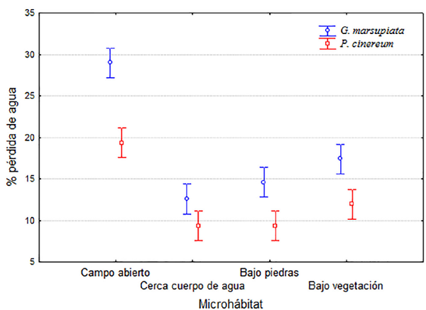 Porcentaje promedio de pérdida de agua para modelos de G. marsupiata y P. cinereum en distintos microhábitats. Las barras indican el intervalo de 95% de confianza.