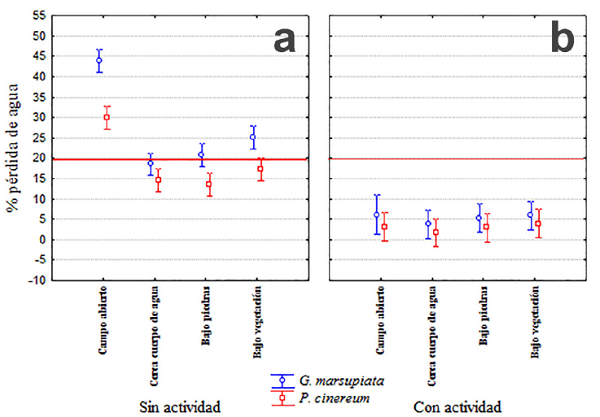 Porcentaje de pérdida de agua para los modelos de G. marsupiata y P. cinereum en horas sin actividad (a) y con actividad (b) en los 4 tipos de microhábitats. La línea roja marca el límite máximo de tolerancia de 20% de pérdida. Las barras indican el intervalo de 95% de confianza.