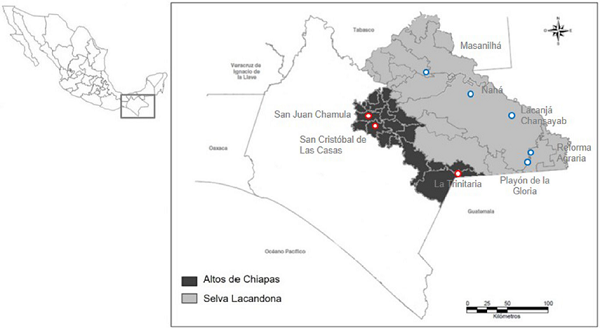 Mapa de las regiones de recolecta en Chiapas, México.