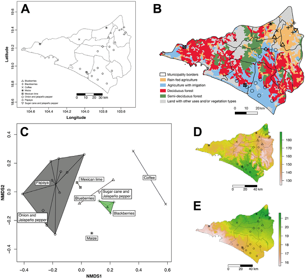 Distribution of surveyed fields and plantations across Colima, some bioclimatic variables, and general information about irrigation and vegetation types. A) Distribution of surveyed fields and plantations; B) map of Colima indicating the borders of each municipality, the distribution of the main vegetation types in the state (deciduous and semi-deciduous forest), and the agricultural areas with irrigation and without irrigation (rain-fed agriculture); C) non-metric multidimensional scaling (NMDS) analysis of weed communities using the sampled crops as proxy; D) temperature seasonality in Colima (Bioclim variable 4), the side scale indicates the standard deviation × 100; E) temperature annual range (Bioclim variable 7), the sidebar represents the variation in Celsius degrees (°C) between the max temperature in the warmest month and the minimum temperature in the coldest month. In all panels the symbology to represent the fields sampled by crop is the same as is indicated in A.