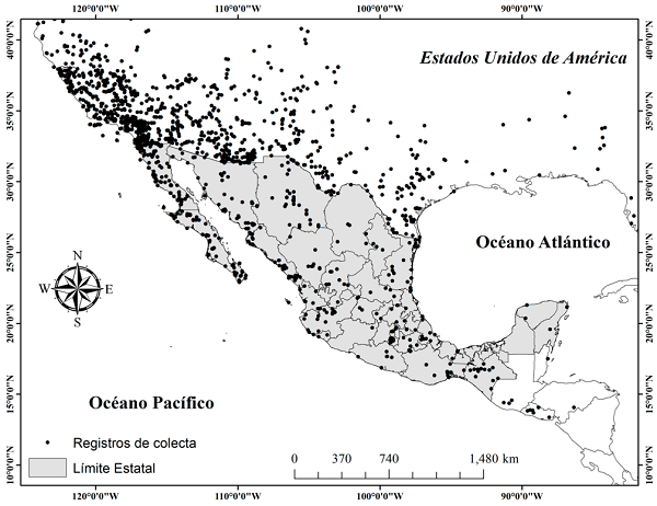 Registros de las 52 especies de Tachysphex en el estudio.