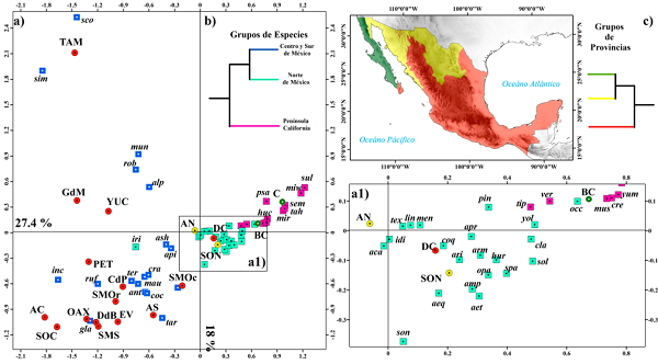 a) Posición de las especies de Tachysphex y provincias biogeográficas derivado del análisis de correspondencia; b) dendrograma del análisis aglomerativo de las especies; c) dendrograma del análisis aglomerativo de las provincias.