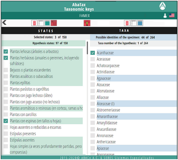 Advanced view of the dynamic identification interface. The Acanthaceae family has been selected as an identification hypothesis (first line in the list on the right); statements congruent with this hypothesis are highlighted in green and with a S the selected ones. Any selection by the user of a character state statement that is not highlighted would indicate that the state refutes the hypothesis, that is, that the specimen does not belong to the Acanthaceae family.