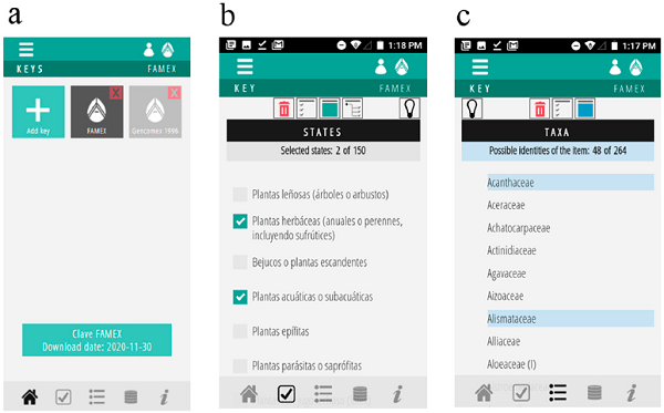 Representative screens of the AbaTax mobile application. a) Start's menu screen showing that 2 keys has been installed: FAMEX (key to families of flowerings plants of Mexico) and GENCOMEX (key to genera of Asteraceae of Mexico); b) list of elegible character states of the FAMEX key; c) list of possible identities of the specimen given the list of selected character states.