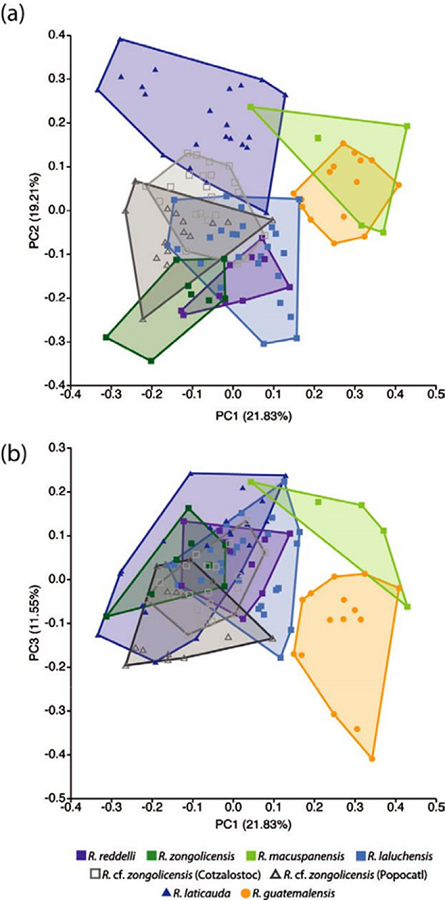 Results of Principal Component Analysis (PCA) of overall body shape variation based on linear data.