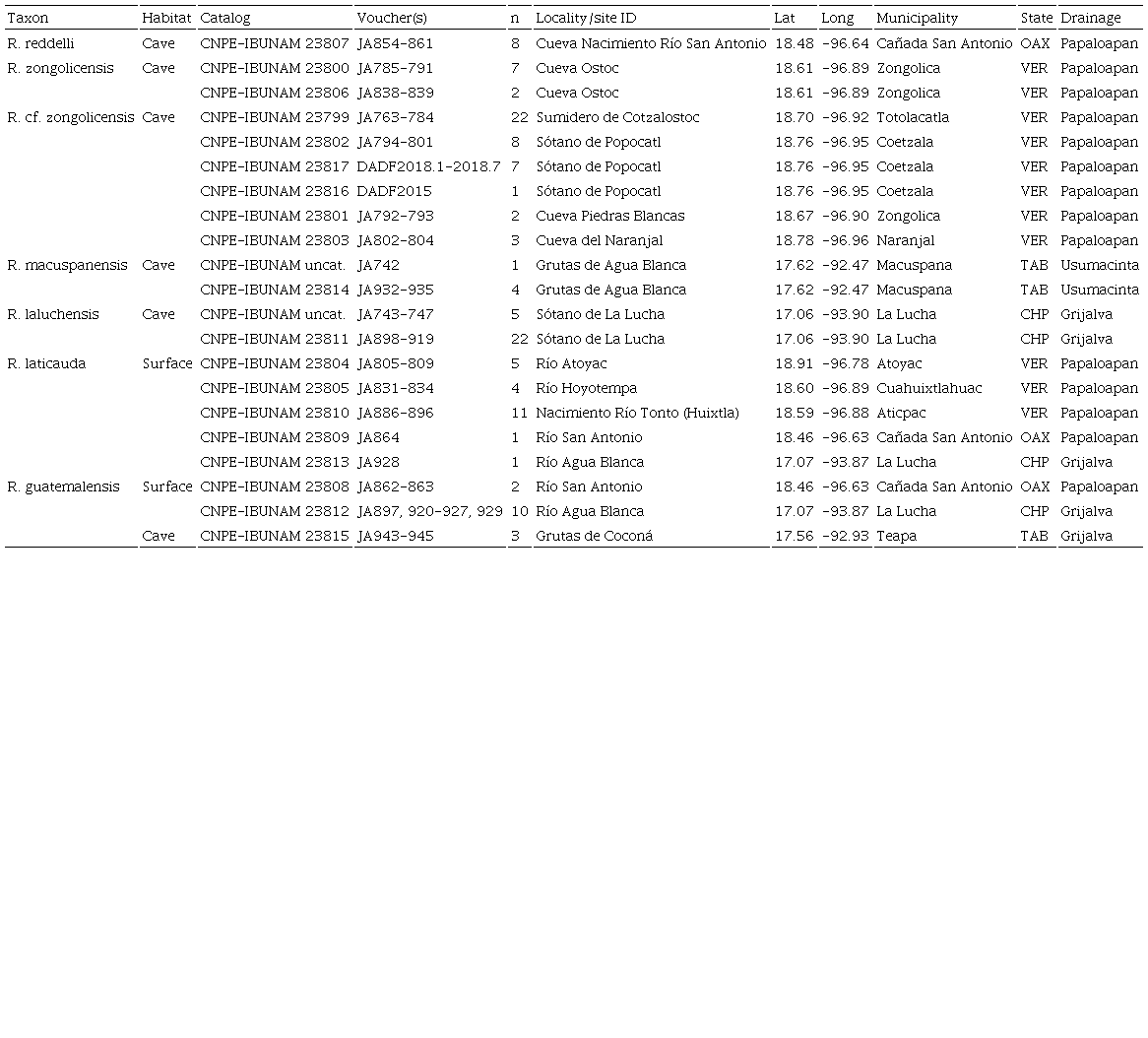 List of Rhamdia specimens (and associated data) collected during the course of this study and included in genetic and morphological analyses. Mexican states abbreviated using ISO 3166 codes. 