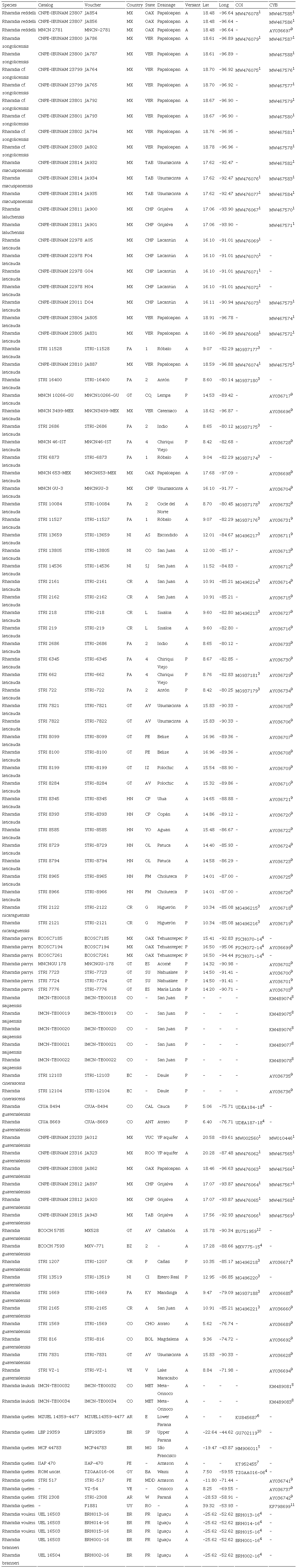 Rhamdia samples (catalog and voucher) used for genetic analyses and their corresponding GenBank/BOLD accession numbers. Acronyms of ichthyological collections follow Sabaj (2020). Superscripts following accession numbers correspond to the sequence source as follows: 1) this study, 2) Arroyave et al. (2020), 3) Bermingham et al. (Unpublished), 4) BOLD (Unpublished), 5) de Carvalho et al. (2011), 6) Usso et al. (2019), 7) García-Dávila et al. (2015), 8) Hernández et al. (2015), 9) Perdices et al. (2002), 10) Pereira et al. (2013), 11) Ríos et al. (2017), and 12) Valdez-Moreno et al. (2009). Countries and provinces/states abbreviated using ISO 3166 codes. 