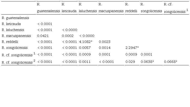 P-values for all possible pairwise morphometric comparisons between the Rhamdia species/populations investigated in this study (Hotelling’s T2 test; α = 0.05). Values with asterisk indicate no significant differences (i.e., p-value > α). R. cf. zongolicensis1 = Sumidero de Cotzalostoc; R. cf. zongolicensis2 = Sótano de Popocatl. 