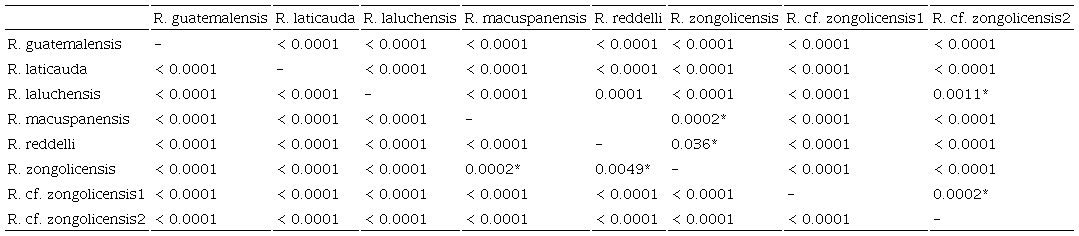 P-values of permutation tests (α = 0.0001) of pairwise differences in mean body shape (lateral profile) based on Procrustes (standard typeface) and Mahalanobis (bold) distances. Values with asterisk indicate no significant differences (i.e., p-value > α). R. cf. zongolicensis1 = Sumidero de Cotzalostoc; R. cf. zongolicensis2 = Sótano de Popocatl. 