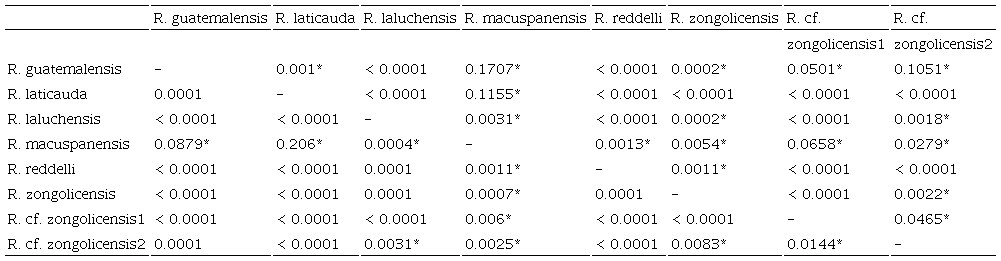 P-values of permutation tests (α = 0.0001) of pairwise differences in mean body shape (dorsal profile) based on Procrustes (standard typeface) and Mahalanobis (bold) distances. Values with asterisk indicate no significant differences (i.e., p-value > α). R. cf. zongolicensis1 = Sumidero de Cotzalostoc; R. cf. zongolicensis2 = Sótano de Popocatl. 