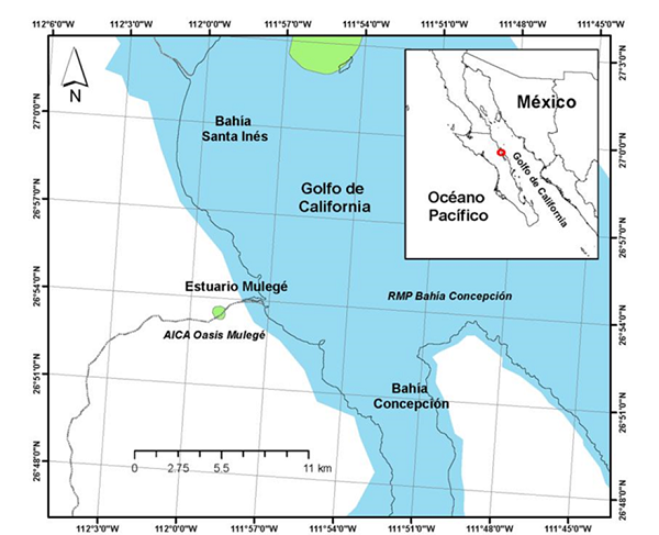 Ubicación geográfica del estuario Mulegé en el golfo de California, México.