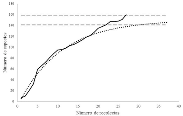 Curva de acumulación de especies. Línea discontinua: región estándar
							de predicción de especies acumuladas (150 ± 9 especies); línea punteada:
							curva de acumulación teórica; línea continua: curva de acumulación
							observada.