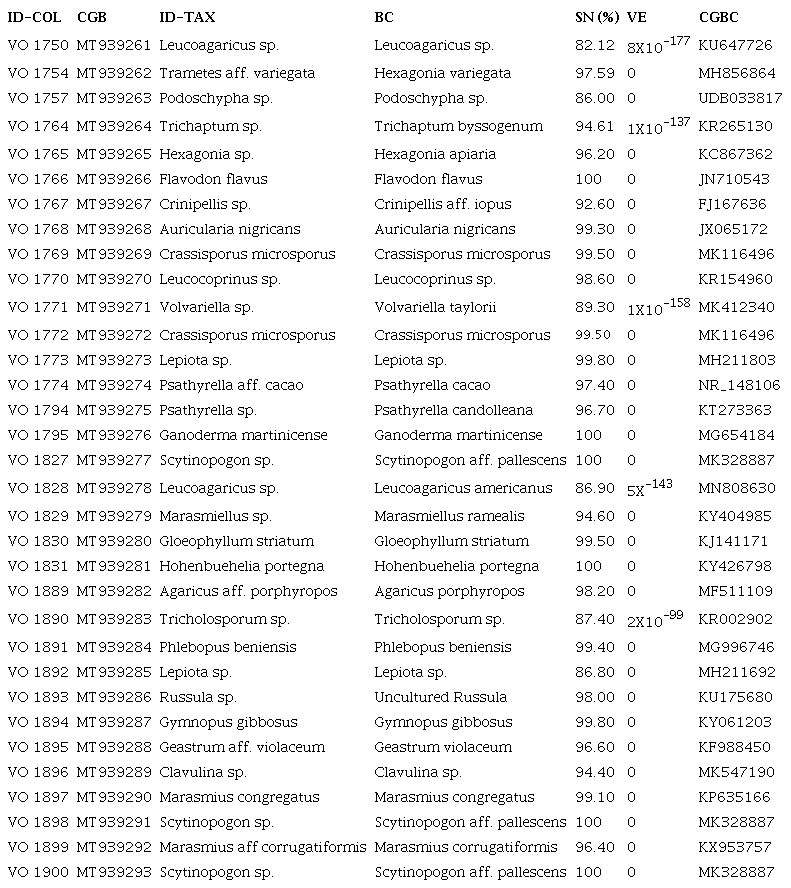 Similitud nucleotídica de los ejemplares de macromicetos con código de barras de la UMA-Jardín Botánico Puerto Escondido, con los registros de la base de datos del Genbank. ID-COL: Número de recolecta; CGB: código de GenBank; ID-TAX: identificación taxonómica; BC: resultado de Blast más cercano; SN: porcentaje de similitud nucleotídica; VE: valor de significado estadístico (e-value); CGBC: código del GenBank del Blast más cercano.
