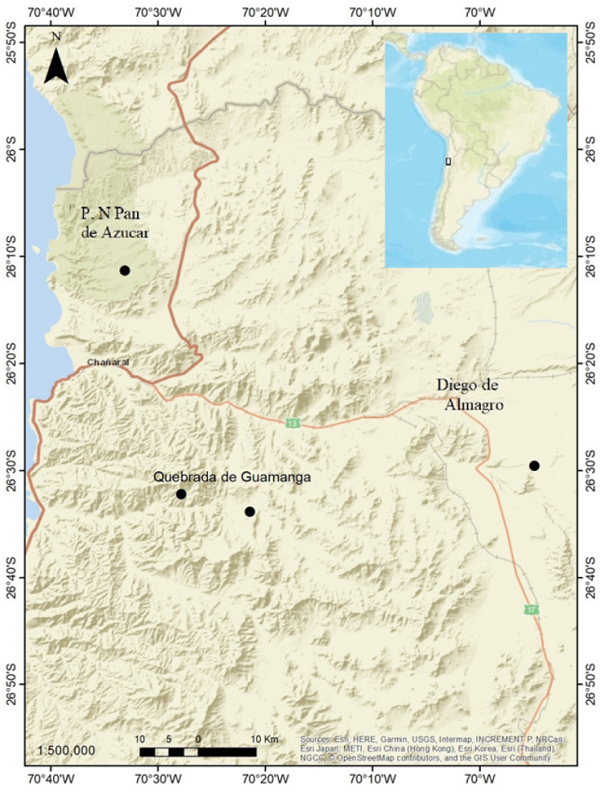 Mapa de distribución de Paraphysogaster
									recabarren sp. nov.