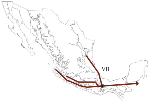 Trazo generalizado VII que incluye a las provincias Cuenca del
							Balsas, Sierra Madre del Sur y Veracruzana. El círculo negro representa
							a la Sierra de Juárez.