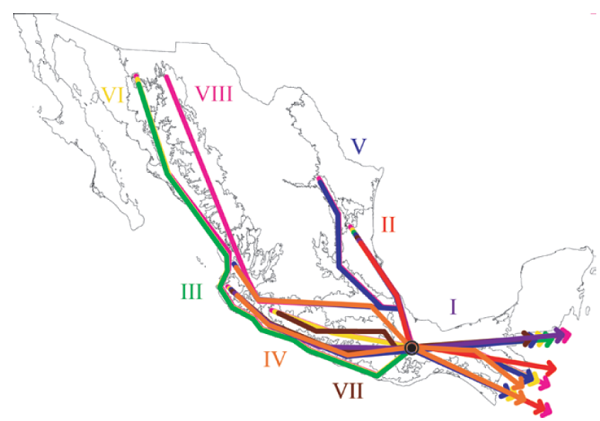 Trazos generalizados y nodo panbiogeográfico identificados en la
							Sierra de Juárez.