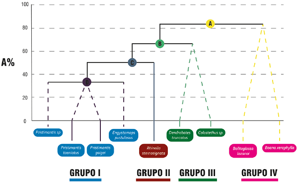 Grupos funcionales de anfibios en sistemas productivos y bosques nativos en los Andes de Colombia. La línea punteada indica grupos de especies homogéneos en el valor de sus rasgos funcionales (validados estadísticamente a partir de los perfiles de similitud SIMPROF), configurando cuatro grupos funcionales diferentes.