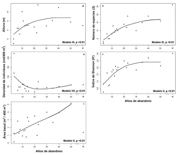 Patrones sucesionales de la altura del dosel (a), la densidad de individuos (b), el área basal (c), el número de especies (d) y el índice de Shannon (e) detectados en la cronosecuencia.
