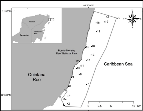 Map of the Puerto Morelos Reef National Park, Quintana Roo, Mexico, showing the collecting sites for this study. 1: Fish market, 2: La Luna, 3: La Pared, 4: Jardín frontal, 5: Muelle fiscal, 6: Ojo de agua, 7: Barco hundido, 8: Rordman, 9: Muelle UNAM, 10: Ojo norte, 11: Punta Caracol, 12: Mar Casa de playa, 13: Cuevones, 14: Cazones, 15: Bahía Petempich, 16: Herradura, 17: Bonanzas sur, 18: Punta Norte, 19: Boya zona norte, 20: Límite Punta norte del parque, 21: Limones.
