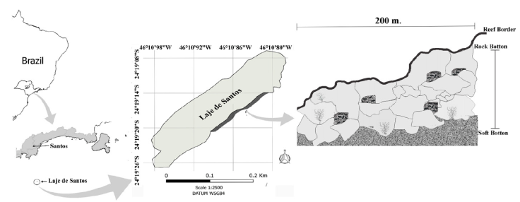 Map of the Marine State Park of Laje de Santos, Brazil, and the representation of the rocky shore with 5 artificial refuge substrates (ARS) disposed behind rocks in a bathymetry of 20 m. SP* = São Paulo State.