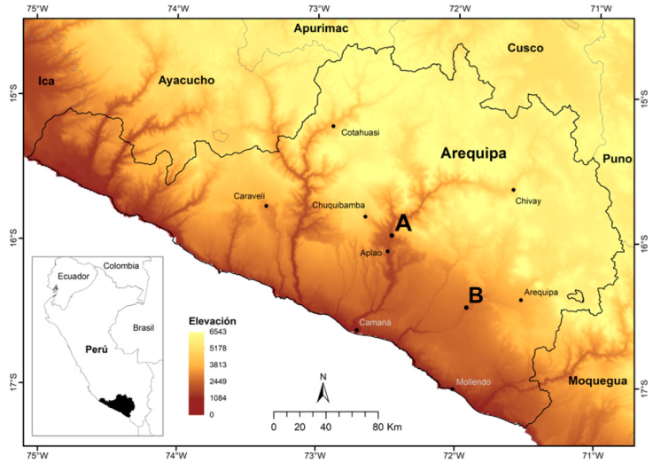 Ubicaci&oacute;n de las localidades de muestreo en la regi&oacute;n de Arequipa, Per&uacute;. A, Huatiapa; B, V&iacute;tor.