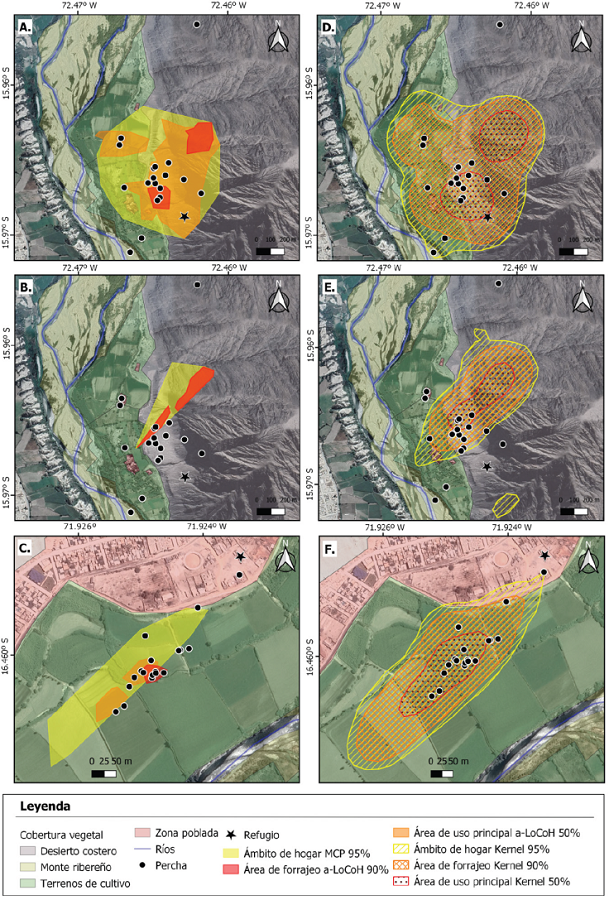 &Aacute;mbito de hogar MCP 95%, &aacute;rea de forrajeo a-LoCoH 90% y &aacute;rea de uso principal a-LoCoH 50% para: A, macho representativo de Amorphochilus schnablii; B, hembra de A. schnablii; C, hembra representativa de Myotis atacamensis. &Aacute;mbito de hogar FKB 95%, &aacute;rea de forrajeo FKB 90% y &aacute;rea de uso principal FKB 50% para: D, macho representativo de A. schnablii; E, hembra de A. schnablii; F, hembra representativa de M. atacamensis. Localidades de Huatiapa (Amorphochilus schnablii) y V&iacute;tor (Myotis atacamensis), Arequipa - Per&uacute;.