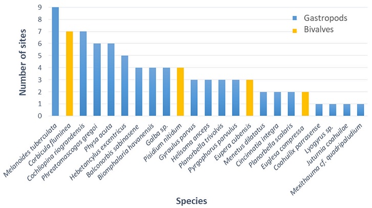 Number of sites occupied by each of the species present in the Sabinas River.
