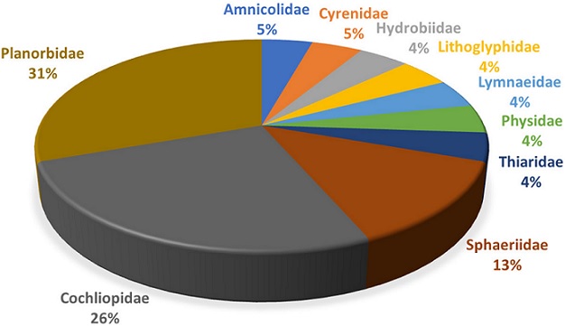 Percentage of freshwater snail families at the Sabinas River.